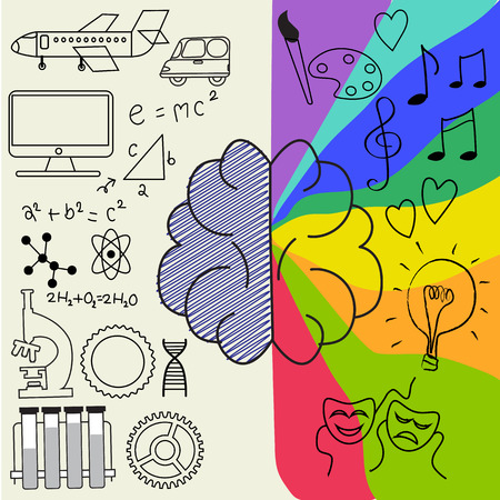 Left and right part of human brain infographic with linear elements vector.  のイラスト素材
