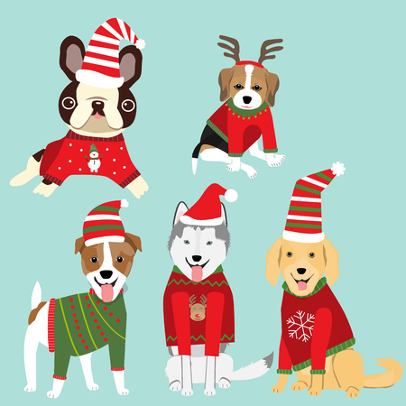 Dogs in Christmas sweater celebret for winter greeting season.illustration.EPS10. Dogs in Christmas sweater celebret for winter greeting season.illustration.EPS10.