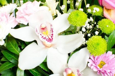 a white orchid, macro, horisontalの写真素材