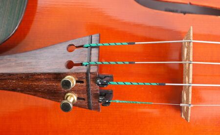 a part of violin, macro