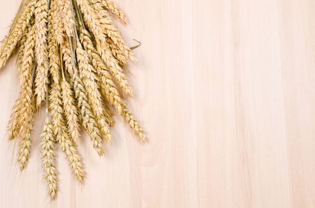 ear of wheat on wooden boardの写真素材