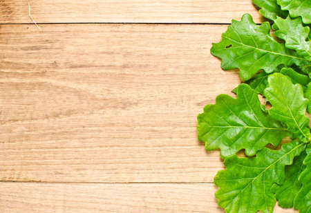 natural oak wood texture and green leavesの写真素材