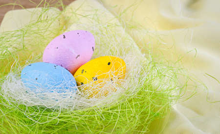 colorful egg in the nest