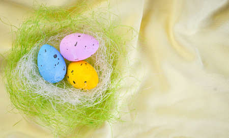 colorful egg in the nest