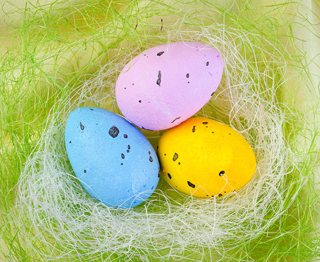 colorful egg in the nest