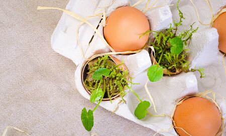 green moss and leafの写真素材