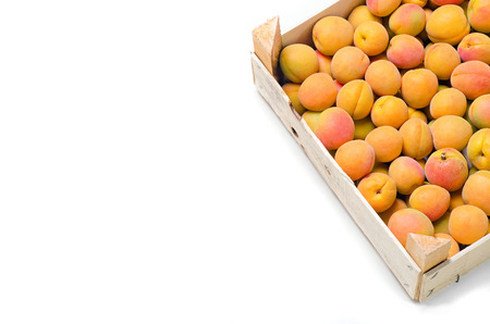 a lot of ripe apricotsの写真素材