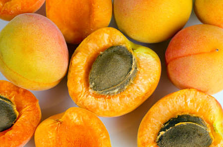 a lot of ripe apricotsの写真素材