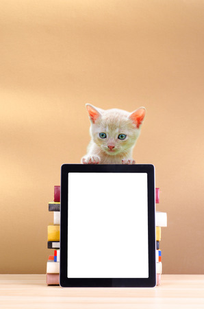 tablet pc and stack book on wooden table and little catの写真素材