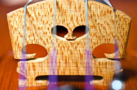 wooden violin part on black background, macroの写真素材