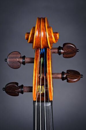 The view of a violin head on black background, focus on curl
