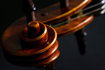 The view of a violin head on black backgroundの写真素材