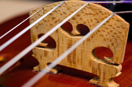 wooden violin part on black background, macroの写真素材
