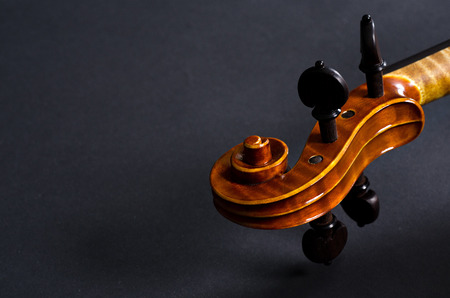 The view of a violin head on black backgroundの写真素材