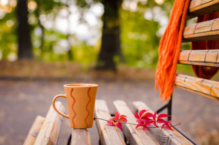 Cup of tea on the bench, outdoorの写真素材