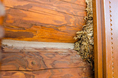 the old wooden brown background, horizontal lineの写真素材