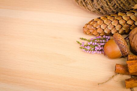 acorn, cone, cinnamon on the wood board