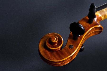 The view of a violin head on black backgroundの写真素材