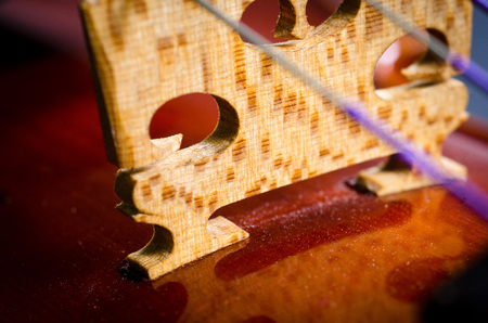 wooden violin part on black background, macro