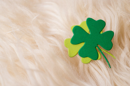 shamrock, paper green clover symbol of a St Patrick day on sheep's clothingの写真素材