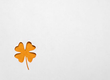orange shamrock clover on a white backgroundの写真素材