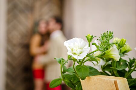 Young fashion hipster couple in love kissing and having passion in spring sunny weather