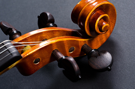 The view of a violin head on black background