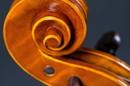 The view of a violin head on black backgroundの写真素材