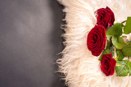 a bouquet of roses on sheep's clothingの写真素材