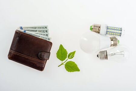 Light bulb with dollar on white background