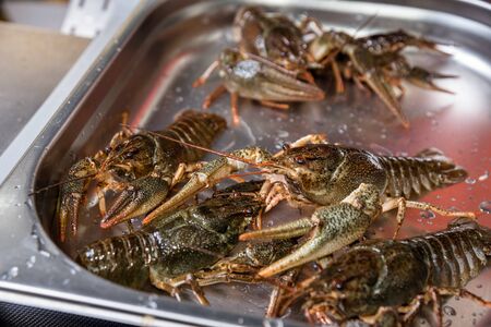 alive crayfish in market