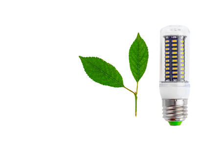 Led lamp green technologies background. White background, eco lamp and green leaves.の写真素材