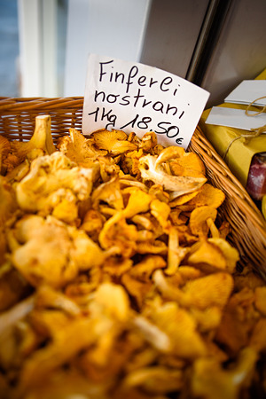 Mushrooms chanterelle in the basket.の写真素材
