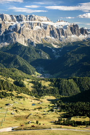 Highland cattle in dolomites alpの写真素材