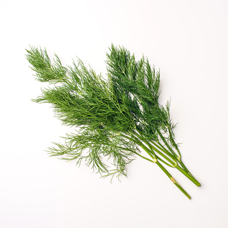 bunch fresh, green dill on a white backgroundの写真素材