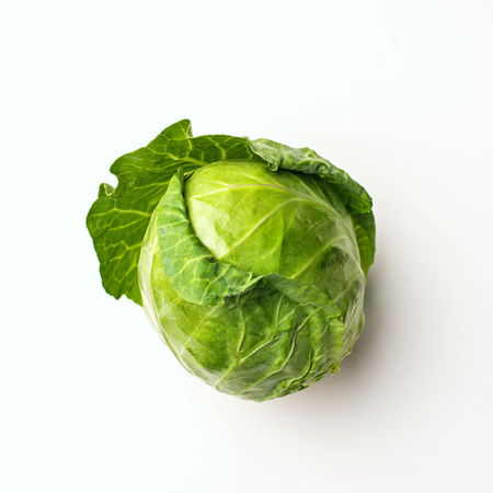 Green cabbage isolated on white background, squareの写真素材