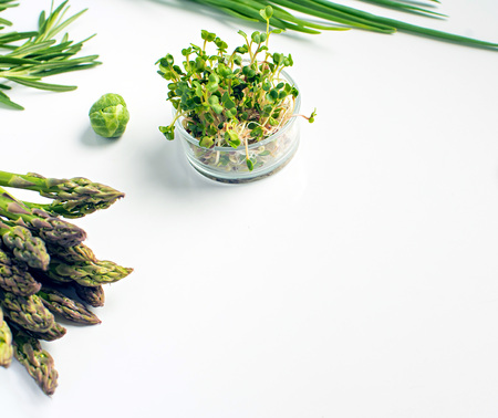 micro greens in glass pot on a white background, blank space for text.の写真素材