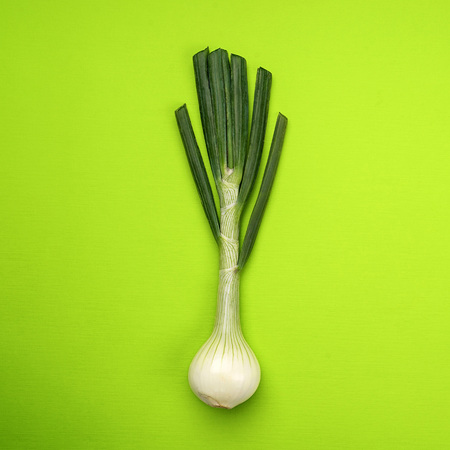 onion on green background, top view on green background