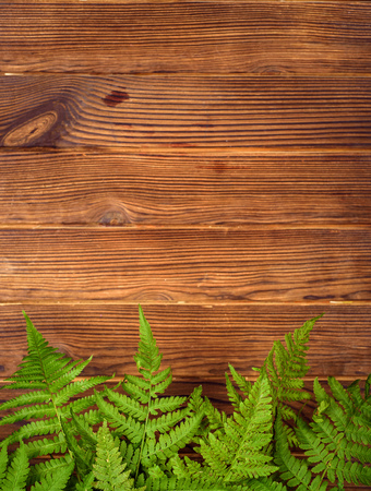 green fern leaves on brown oak wood background with copy spaceの写真素材