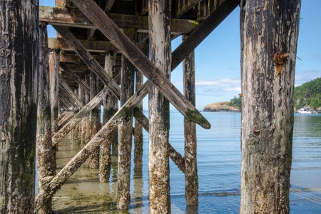 Dock Viewの写真素材