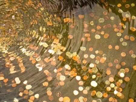 Coins thrown for luck at the bottom of the pool