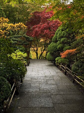 Walkway among bright autumn-colored trees and shrubsの写真素材