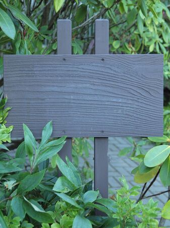 Signpost in the middle of foliage, blank signboardの写真素材