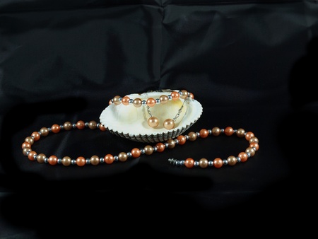 Set of pearls on a seashellの写真素材