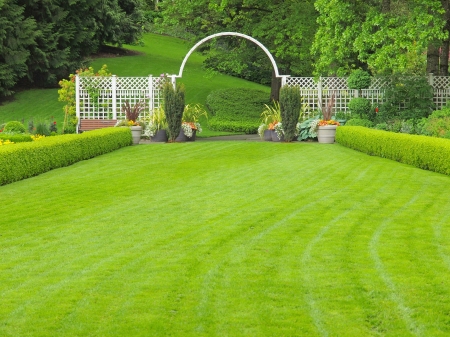 Outdorr wedding place in the garden, with grass lawn and white arcのeditorial素材