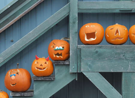 Carved Halloween pumpkins on displayの写真素材