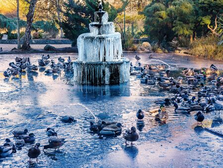 Frozen fountain on the icy lake with ducks in the public parkの写真素材