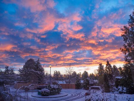 Winter sunrise in the suburban area, dramatic sky over trees and houses covered with snowの写真素材