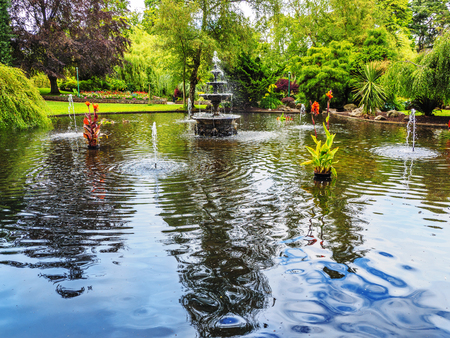 Canna lilies in the pond with fountain, lush summer blossoms aroundの写真素材