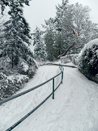 Winter scenery with snow covering the ground and trees